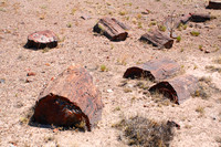 Petrified Forrest National Park, AZ