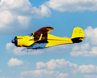 2024 Beech Party
